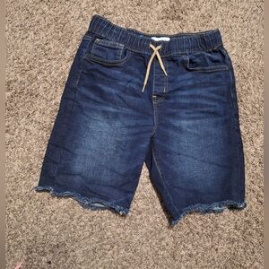 Old Navy  Navy and Blue Shorts Size 14/16